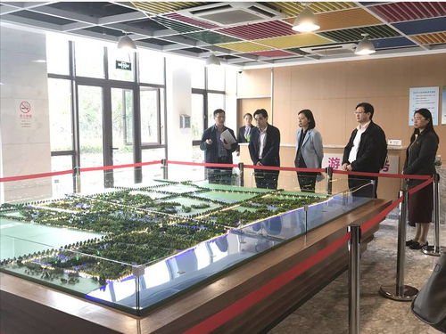 吳偕林副秘書長赴閔行區調研旅游工作，推動區域旅游業務創新發展